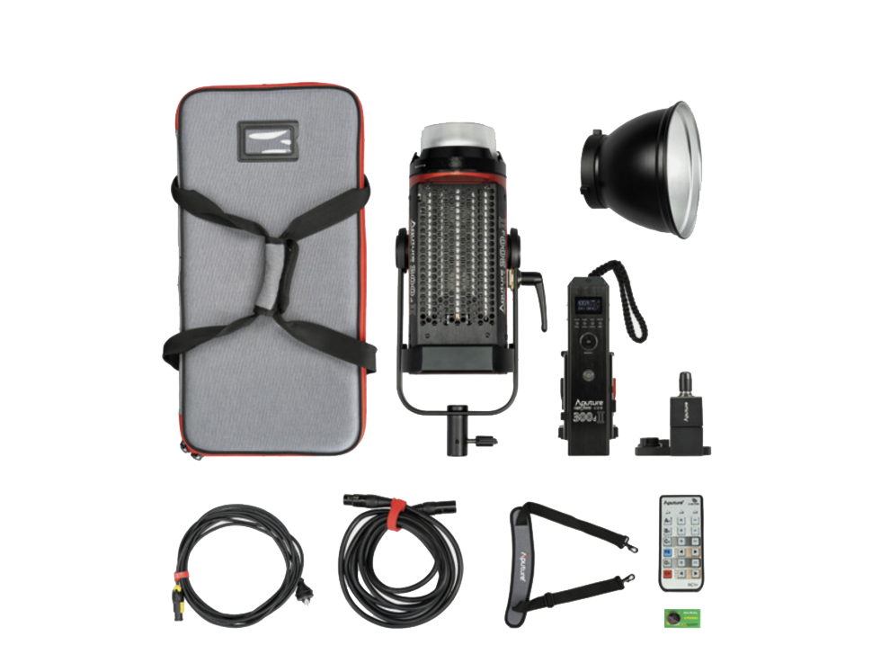 Светодиодный осветитель Aputure Light Storm LS C300D II (5500K)