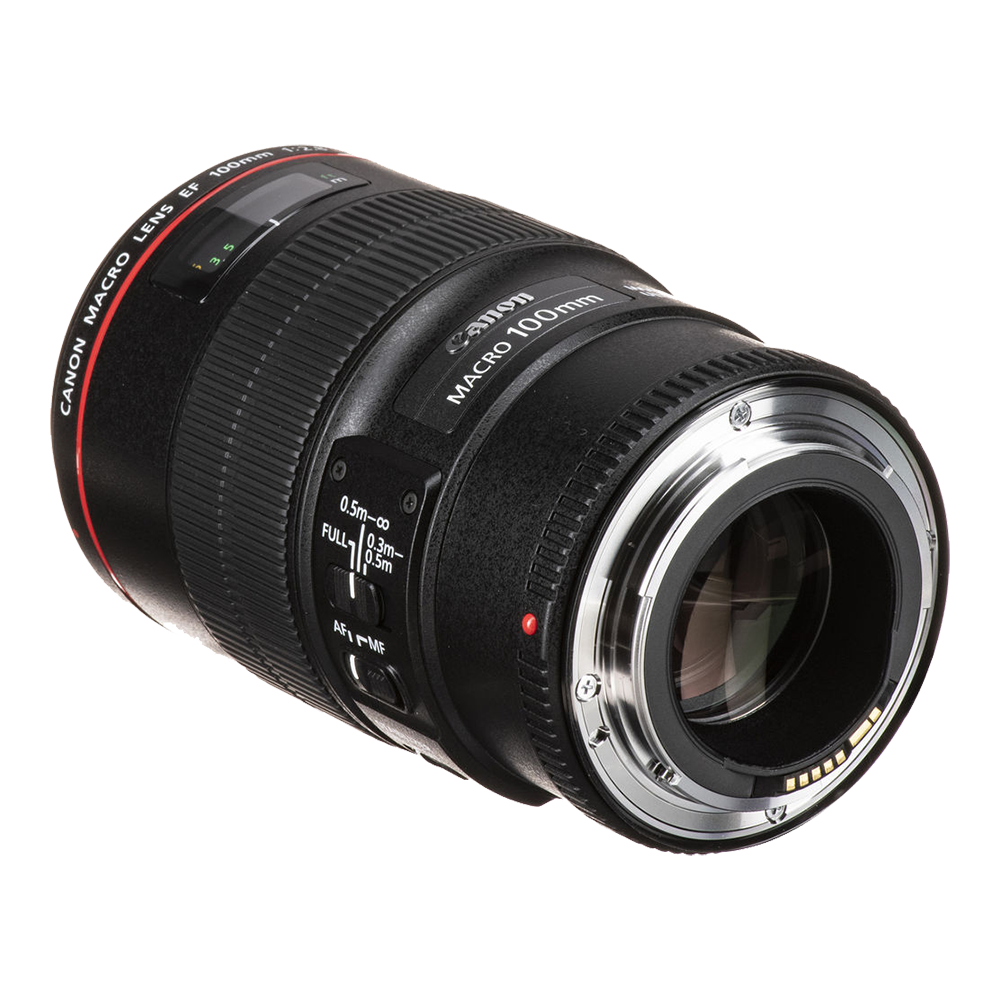 Объектив Canon EF 100mm f/2.8 L Macro IS USM