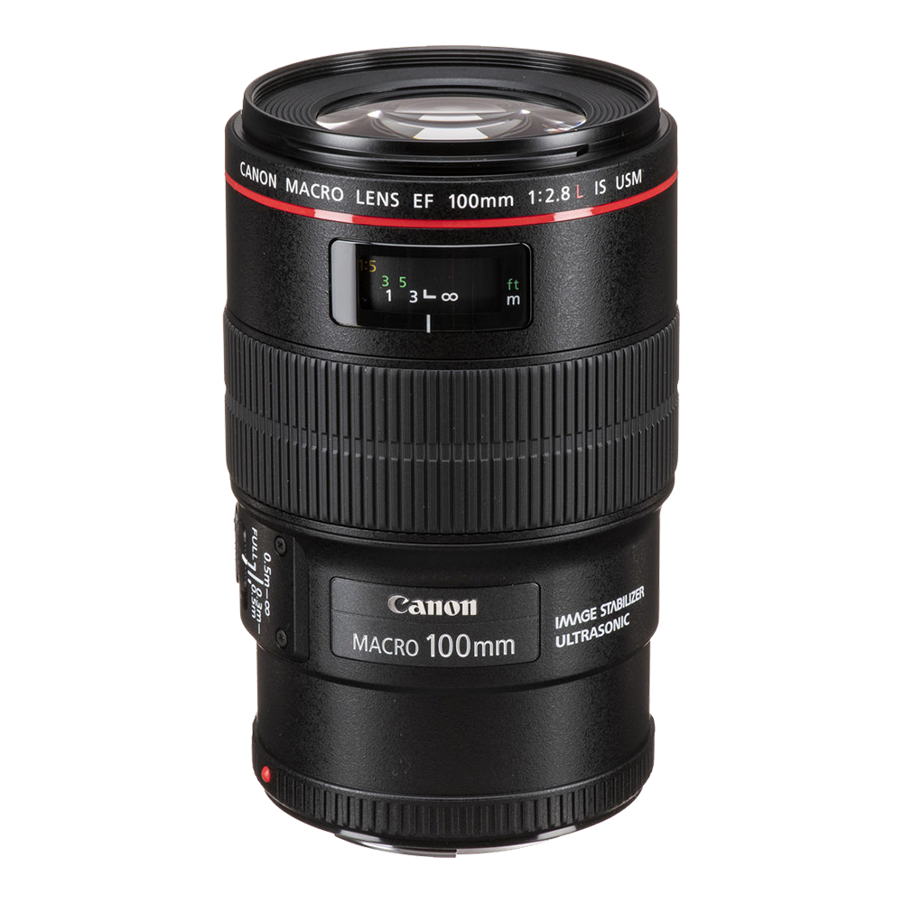 Объектив Canon EF 100mm f/2.8 L Macro IS USM